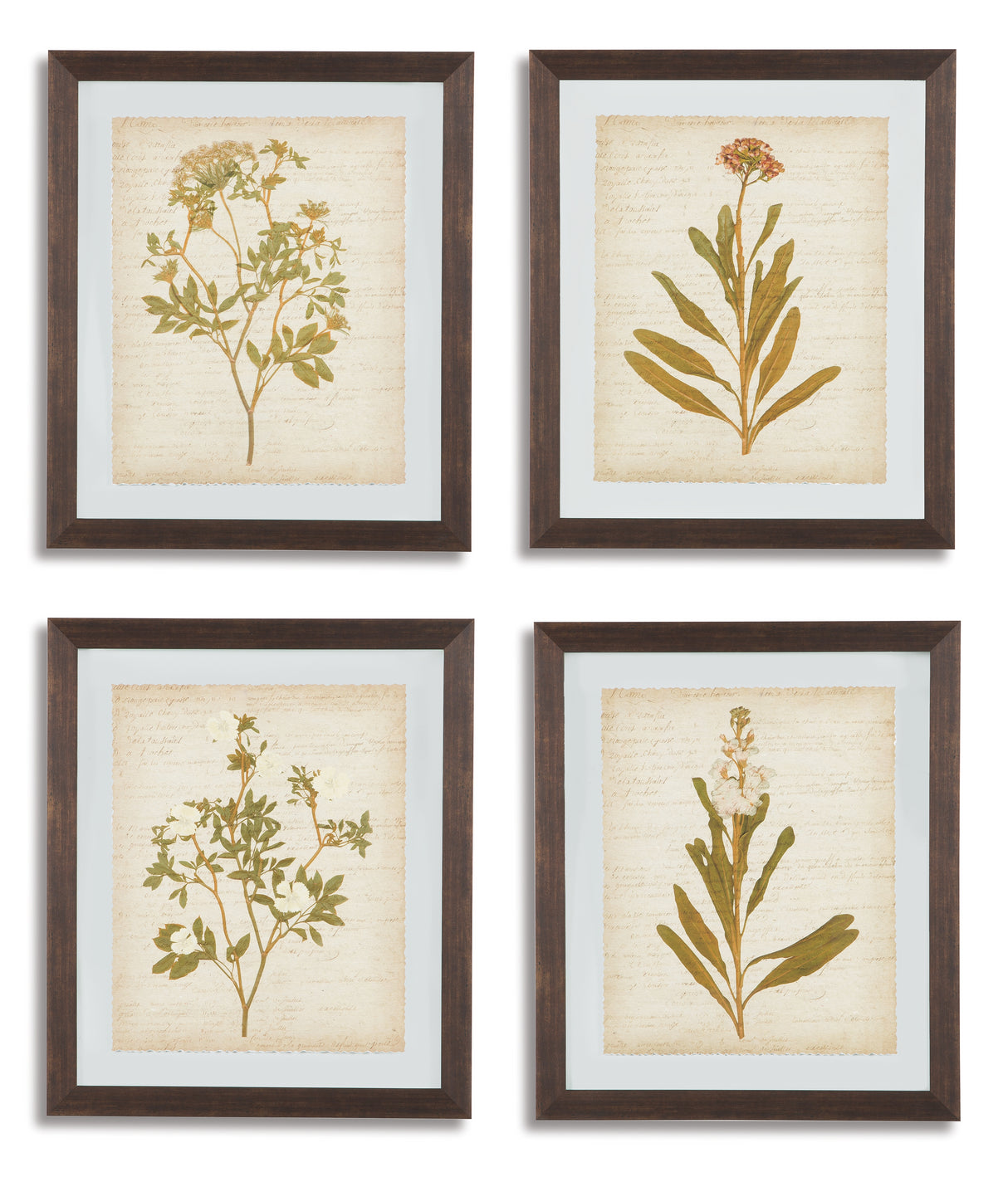 Dyani Wall Art (Set of 4)