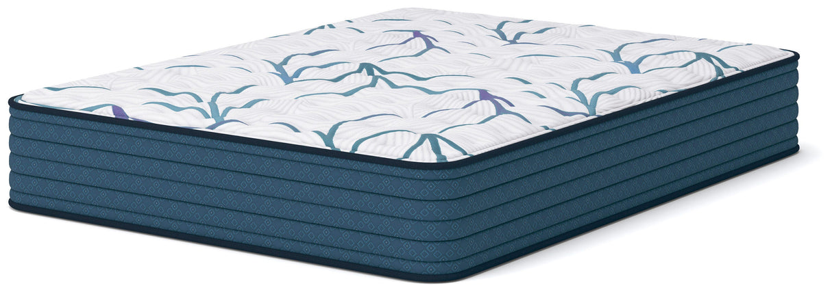 Limited Edition Firm 3.0 Queen Mattress