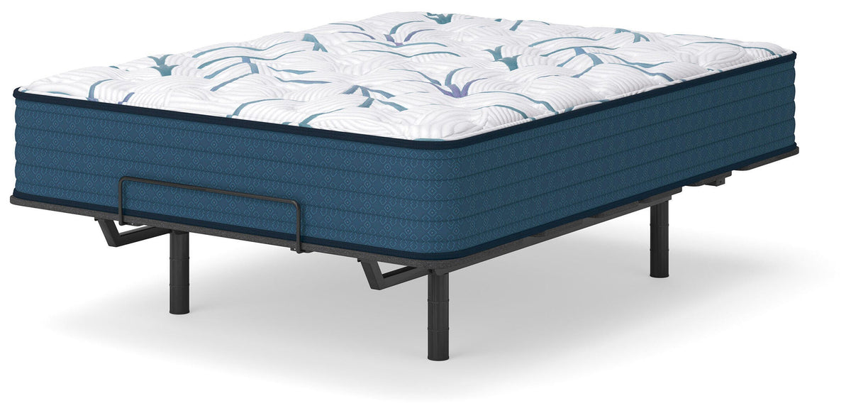 Limited Edition Plush 3.0 King Mattress