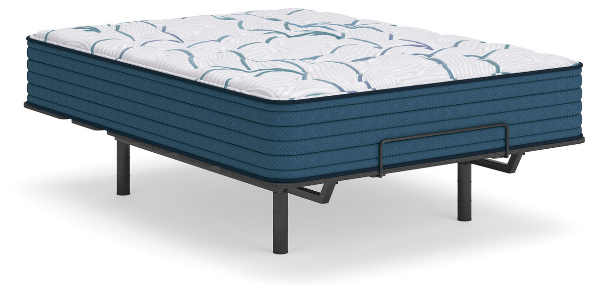 Limited Edition Plush 3.0 King Mattress