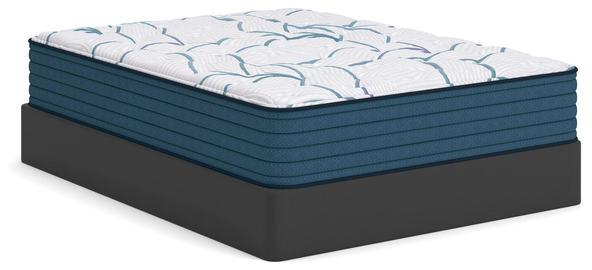 Limited Edition Plush 3.0 King Mattress