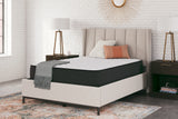Limited Edition Firm Queen Mattress