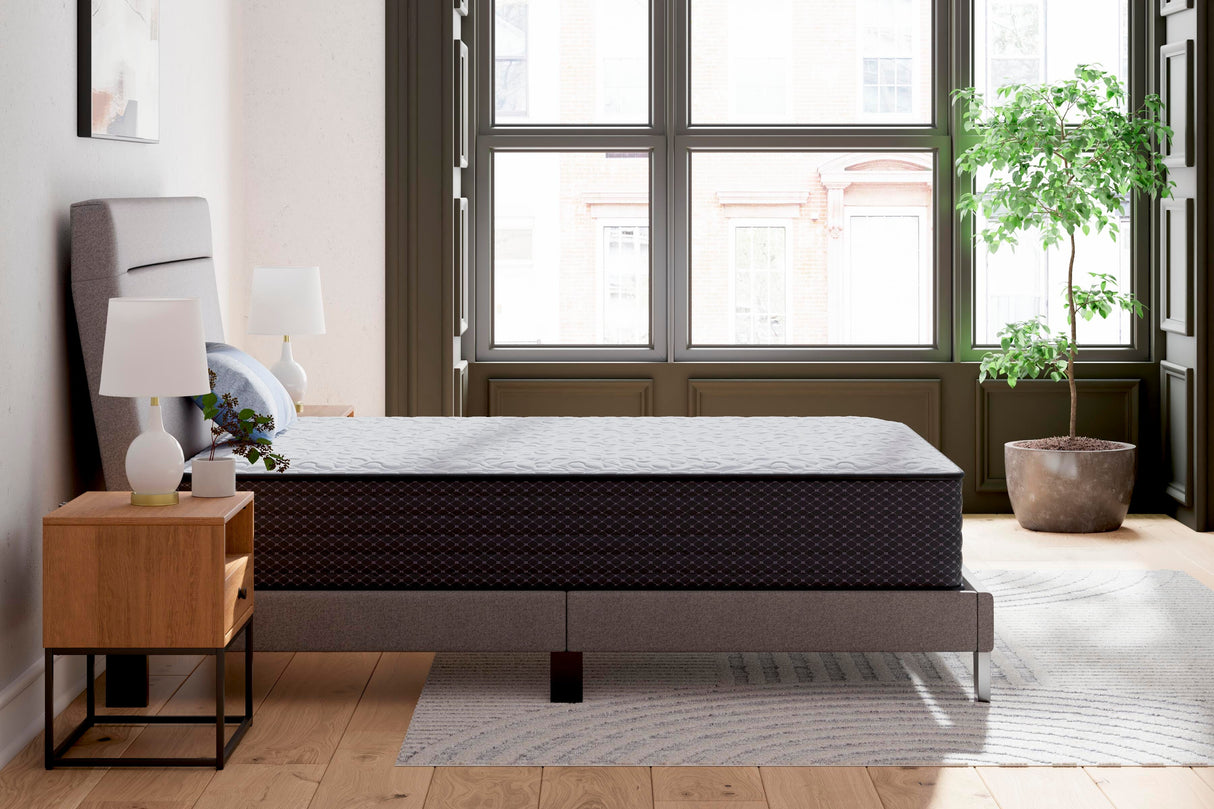 Anniversary Edition Firm Queen Mattress