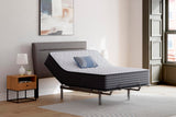 Anniversary Edition Firm Queen Mattress