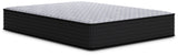 Anniversary Edition Plush Full Mattress