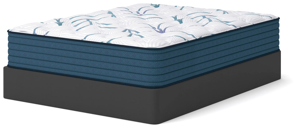 Limited Edition Plush 3.0 Full Mattress
